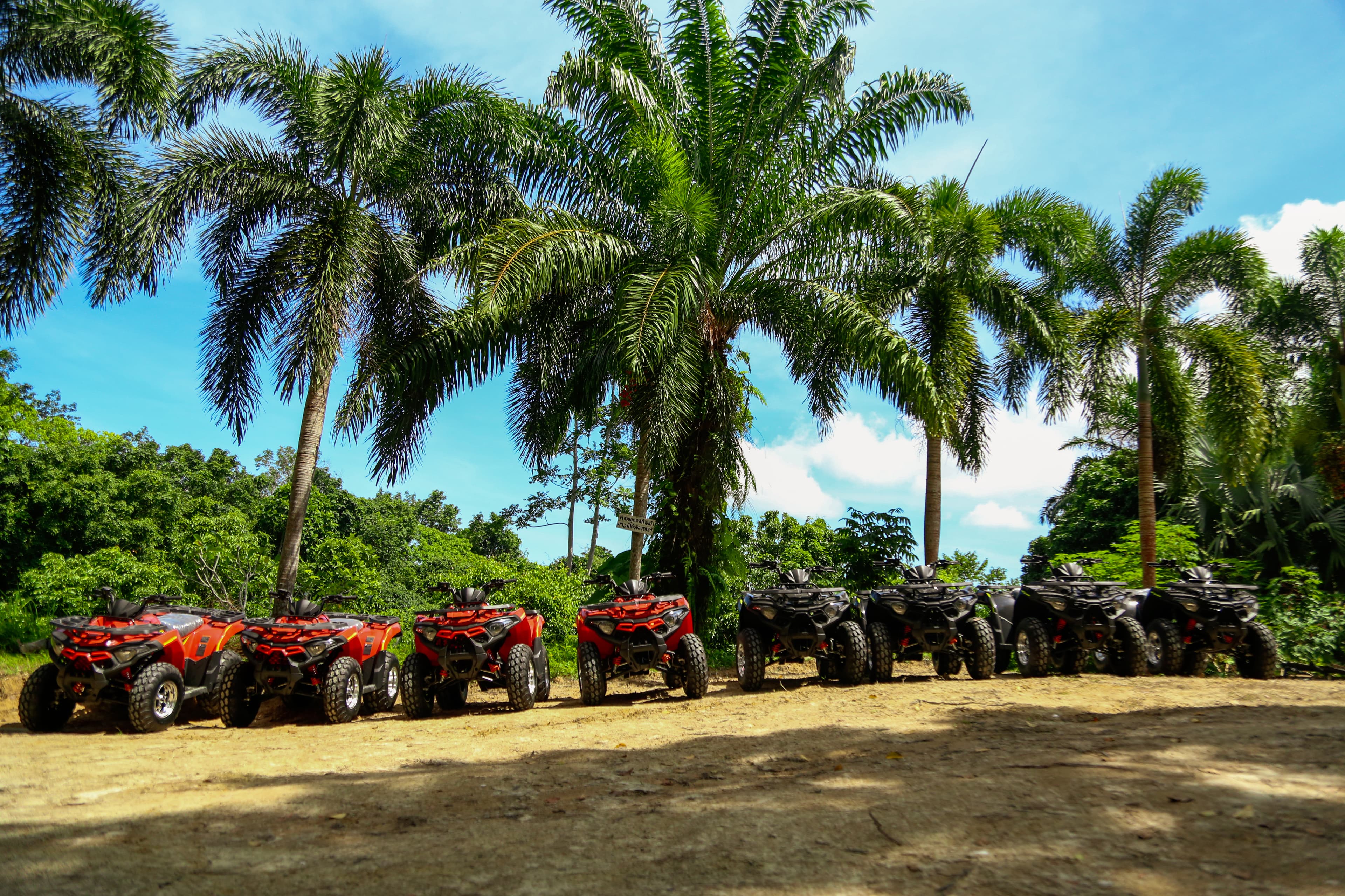 Fleet of ATVs lined up under palm trees